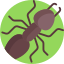 Pest Control Cairnlea, VIC | 0480013674 | Bright Pest Control