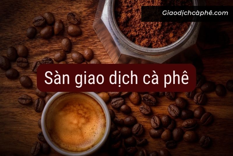 Sàn Giao Dịch Cà Phê