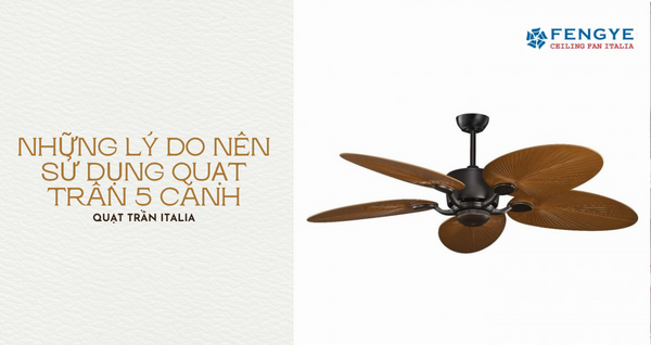 Quạt trần 5 cánh có những ưu điểm gì mà bạn nên sở hữu?