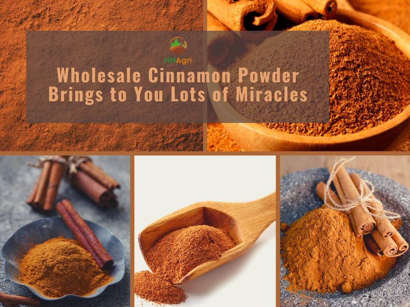 Wholesale Cinnamon Powder Brings to You Lots of Miracles