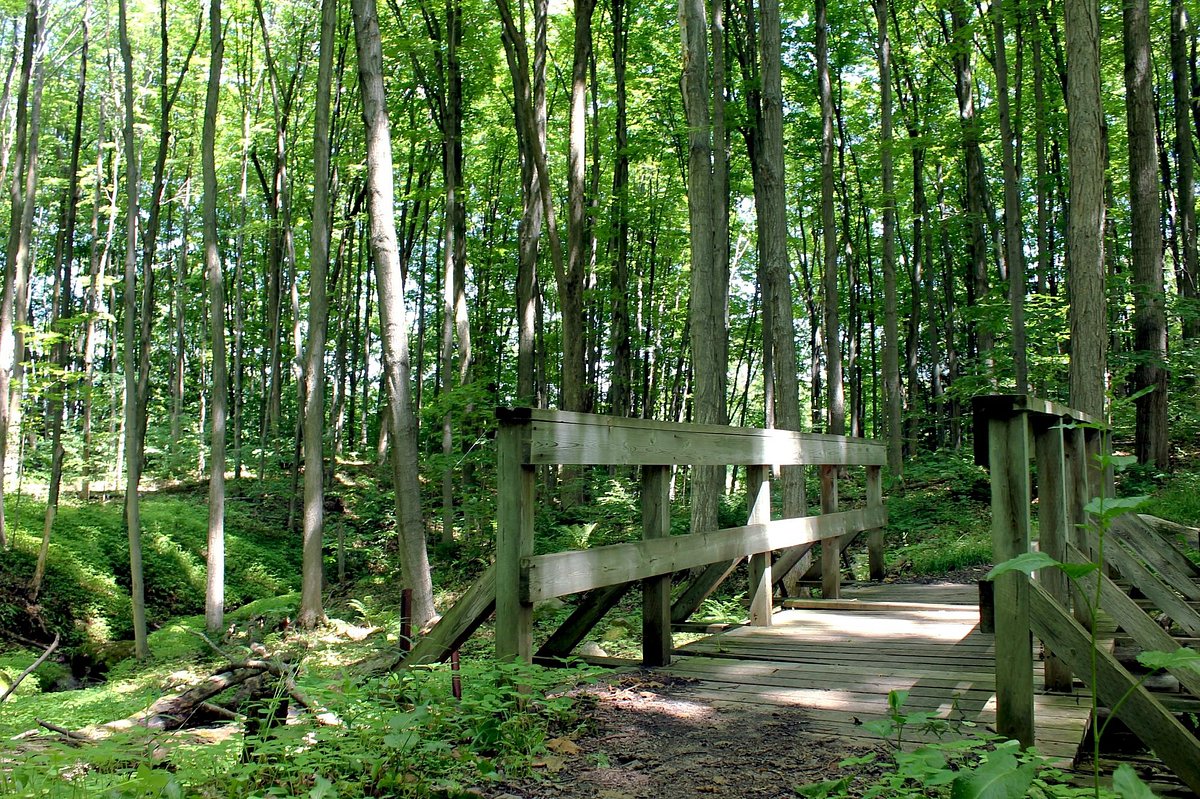 Hiking in Caledon - Glen Haffy Has The Most Panoramic Vistas