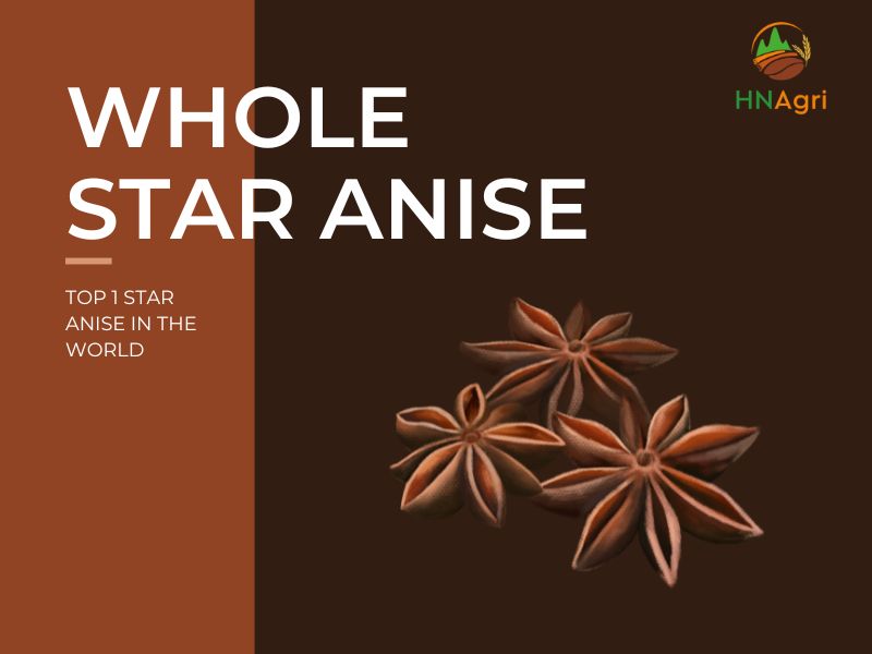 Whole Star Anise Ranks Top 1 The Best Kind Of Star Anise