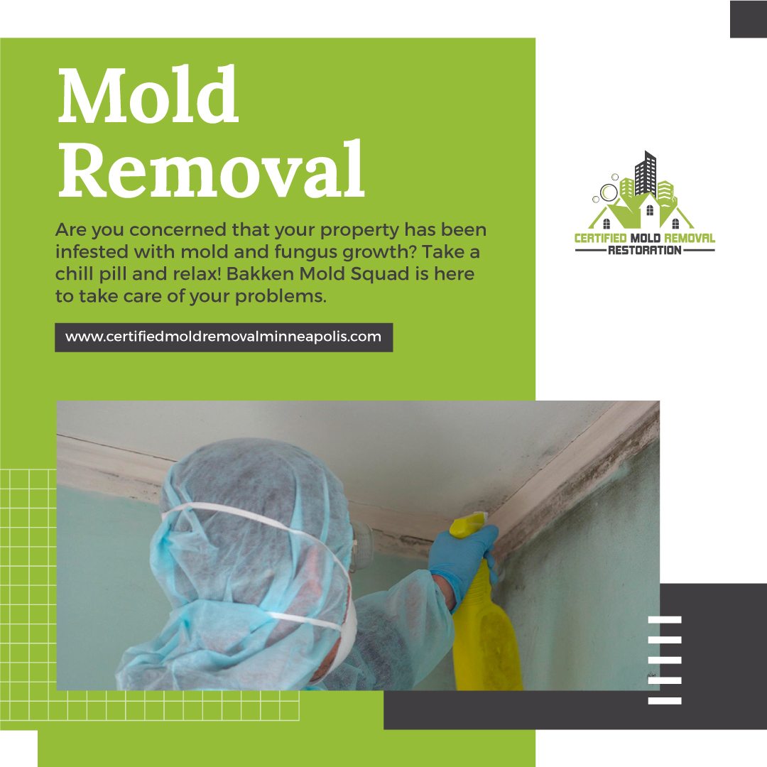 What Are the Benefits of Mold Repair for Your Home? – Certified Mold Removal Restoration