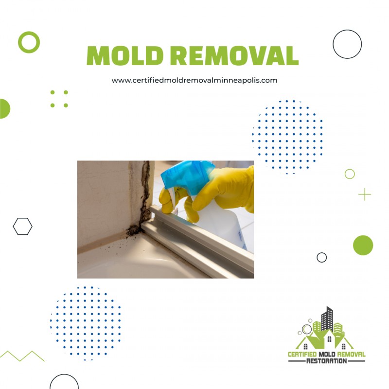 5 Signs You Need Mold Removal Expert in Minneapolis: certifiedmoldre — LiveJournal