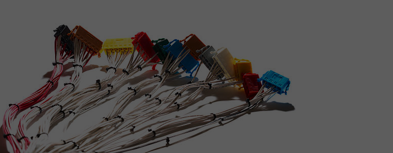 Harness and control box manufacturer and supplier