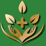 Kiến Thức Dược Liệu