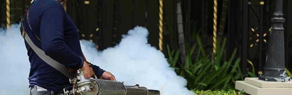 Preventive Pest Control Hobart Cover Image