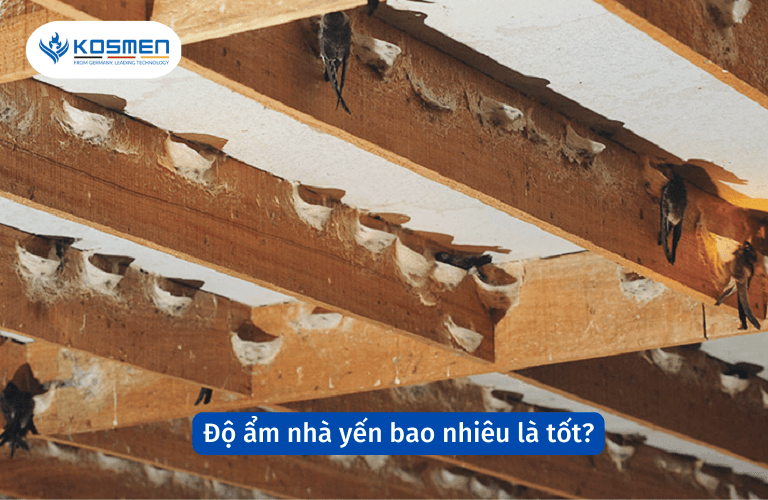 Độ Ẩm Nhà Yến Bao Nhiêu Là Tốt? Cách Giảm Độ Ẩm Trong Nhà Yến