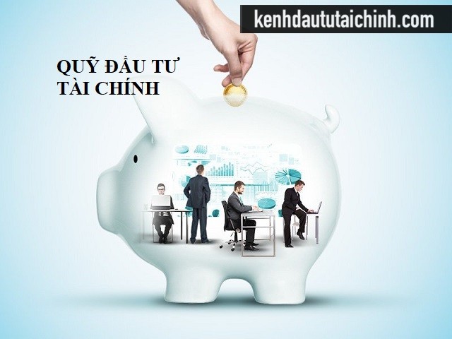 Quỹ đầu tư tài chính là gì? Lợi nhuận thu về từ quỹ đầu tư có lớn không?