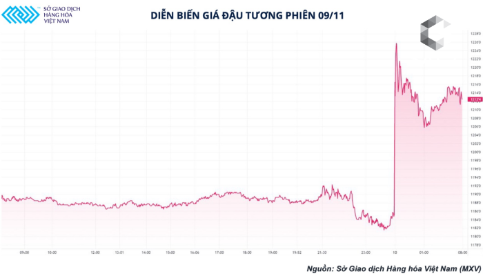 Báo cáo cung cầu là gì? Ý nghĩa báo cáo trong Giao dịch Hàng hóa