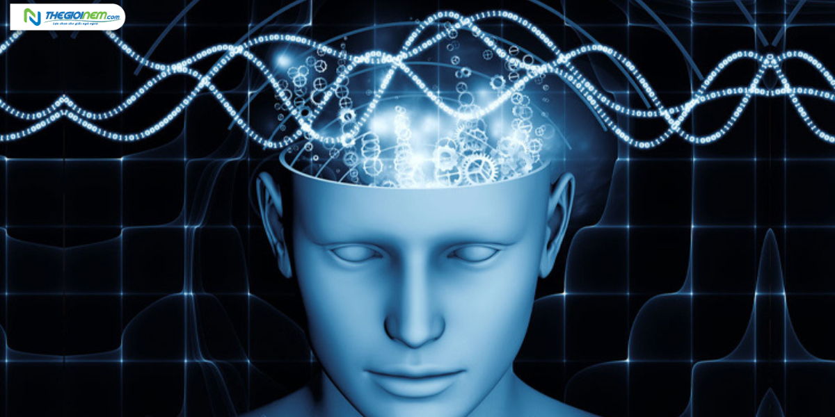 Nhạc sóng não Delta đã tác động lên cơ thể chúng ta như thế nào | Nệm Cao Su Thiên Nhiên | Thegioinem.com