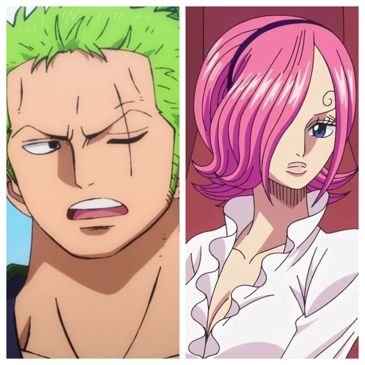 All Information You Need To Know About One Piece Characters