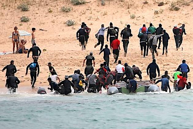 List of Top 5 Coursework Writing Services by All Freelancers Limited: Secure a Better Grade at Lowest Cost