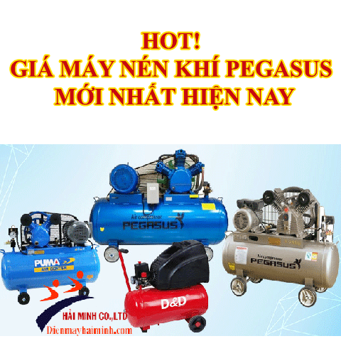 HOT! giá máy nén khí Pegasus chất lượng mới nhất hiện...