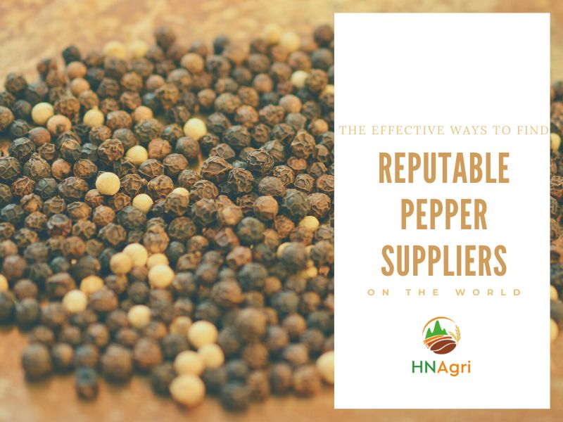 The Effective Way How To Find Pepper Suppliers With Good Reputation