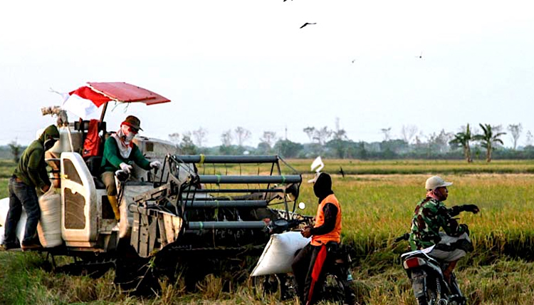 Guldoc Website - Blog update seputar resep makanan dari Indonesia.