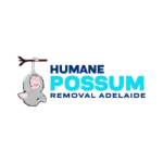 Humane Possum Removal Adelaide