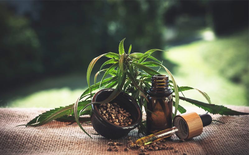 Where Can Buy CBD Oil? : Where Can I Buy CBD Oil?