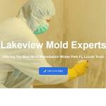 Mold Remediation and Mold Removal