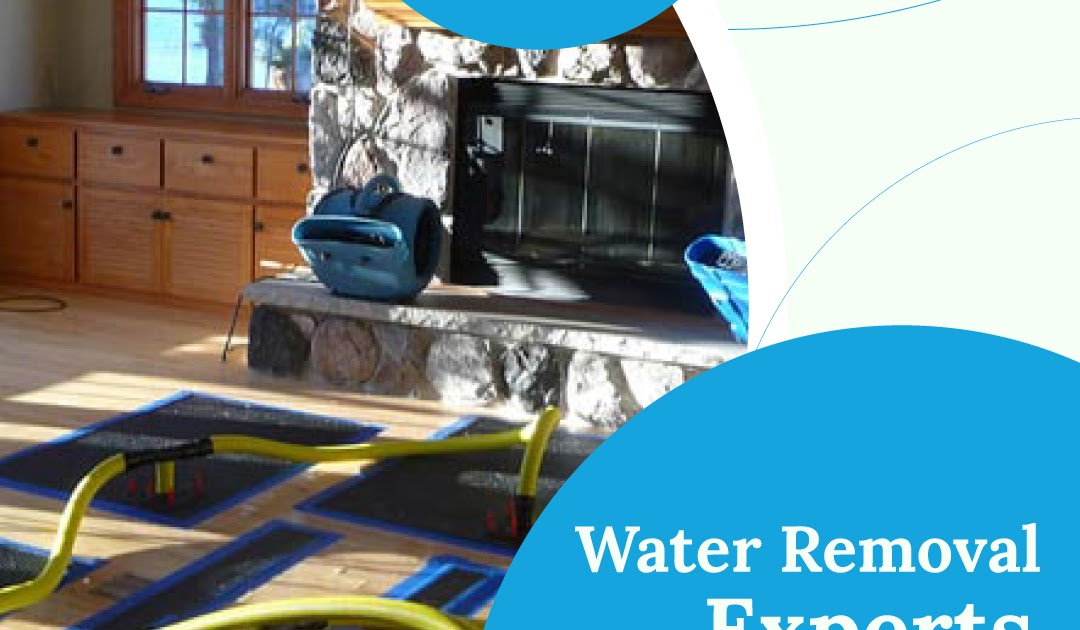 Water Damage Signs In Your House? Find The Solutions