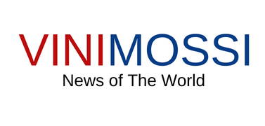 Top 7 Platforms That Can Help in Writing Law Coursework - vinimossi.com