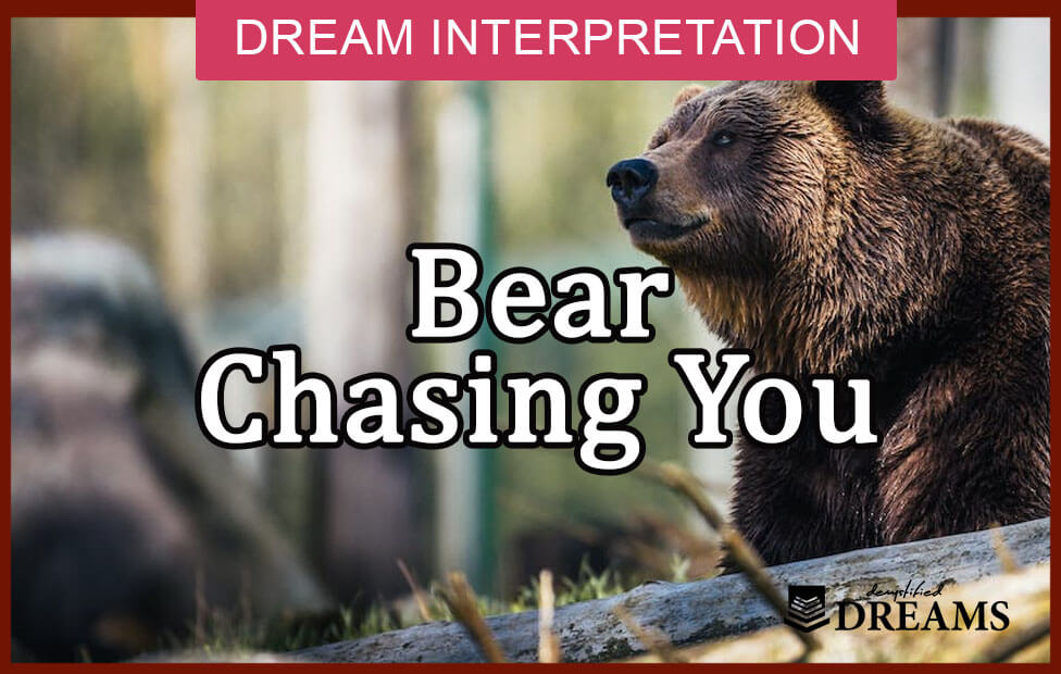 Dream About Bears Chasing You - Spiritual Hidden Meaning And Symbolism - Dreams Demystified