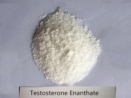 Testosterone Enanthate Raw Steroid Power or Raw Anabolic Steroid SARMs Powder from Top Supplier - Horster Biotek