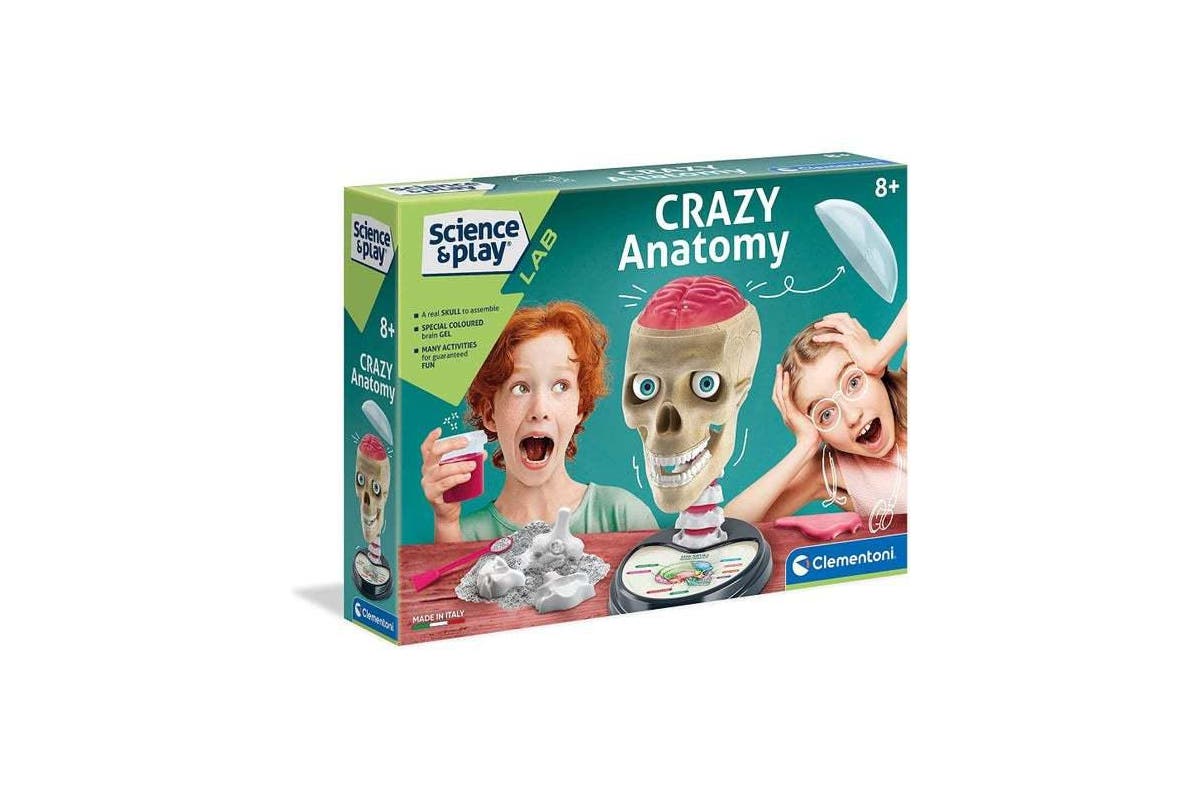 Anatomy Laboratory | Curiouskidzz