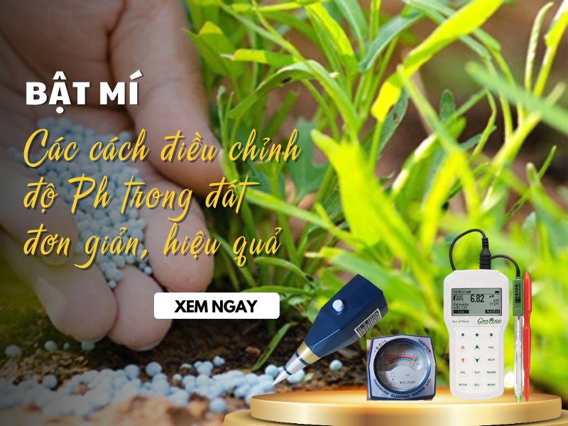 Bật Mí Các Cách Điều Chỉnh Độ Ph Trong Đất Đơn Giản, Hiệu...