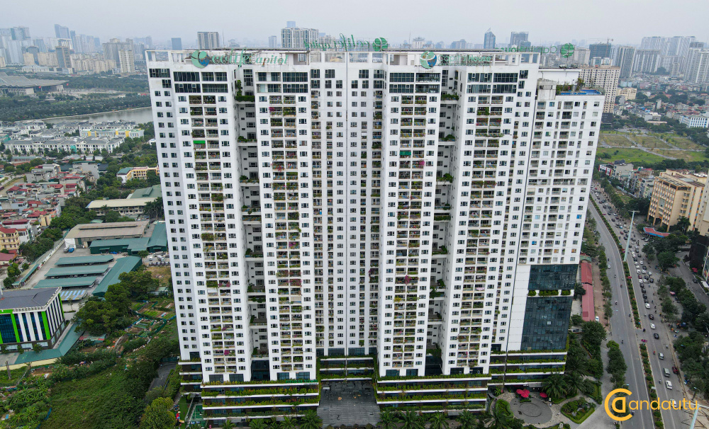 Chung cư Ecolife Capitol: Thông tin & Tiến độ