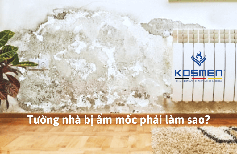 Tường Nhà Bị Ẩm Mốc Phải Làm Sao? Cách Xử Lý Và Phòng Chống