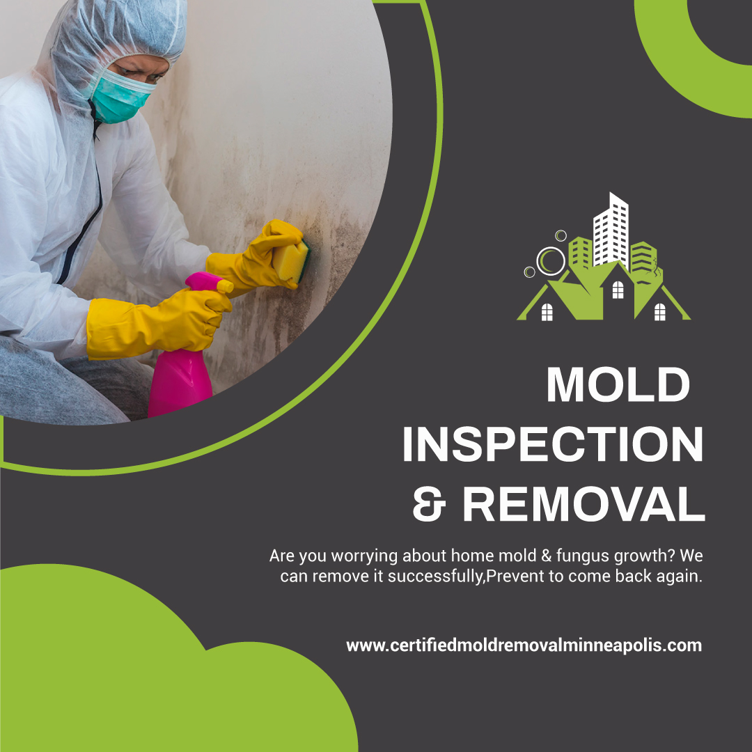 What all damages can Certified Mold Removal Restoration Minneapolis can treat? – Certified Mold Removal Restoration