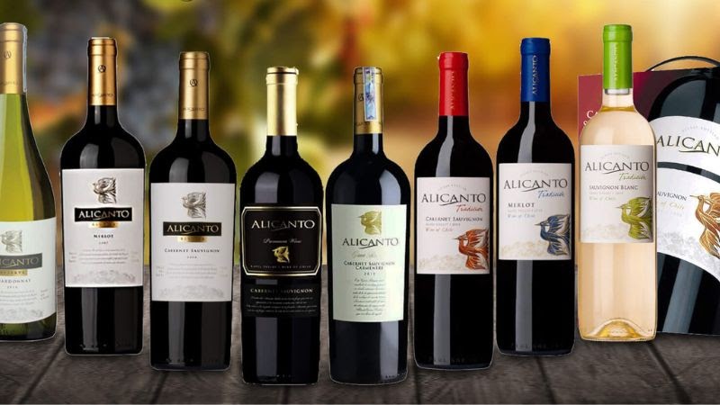 Rượu vang chile là gì? 5 loại rượu vang bán chạy nhất