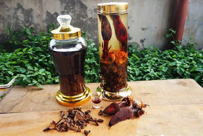 Bật Mí Cách ngâm rượu nấm ngọc cẩu chuẩn Tây Bắc