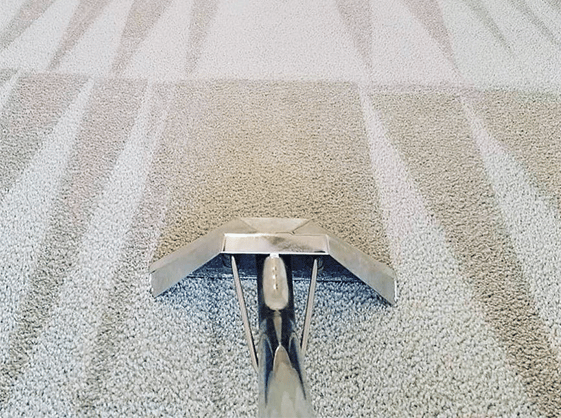 Carpet Cleaning London | 20,000+ Positive Reviews