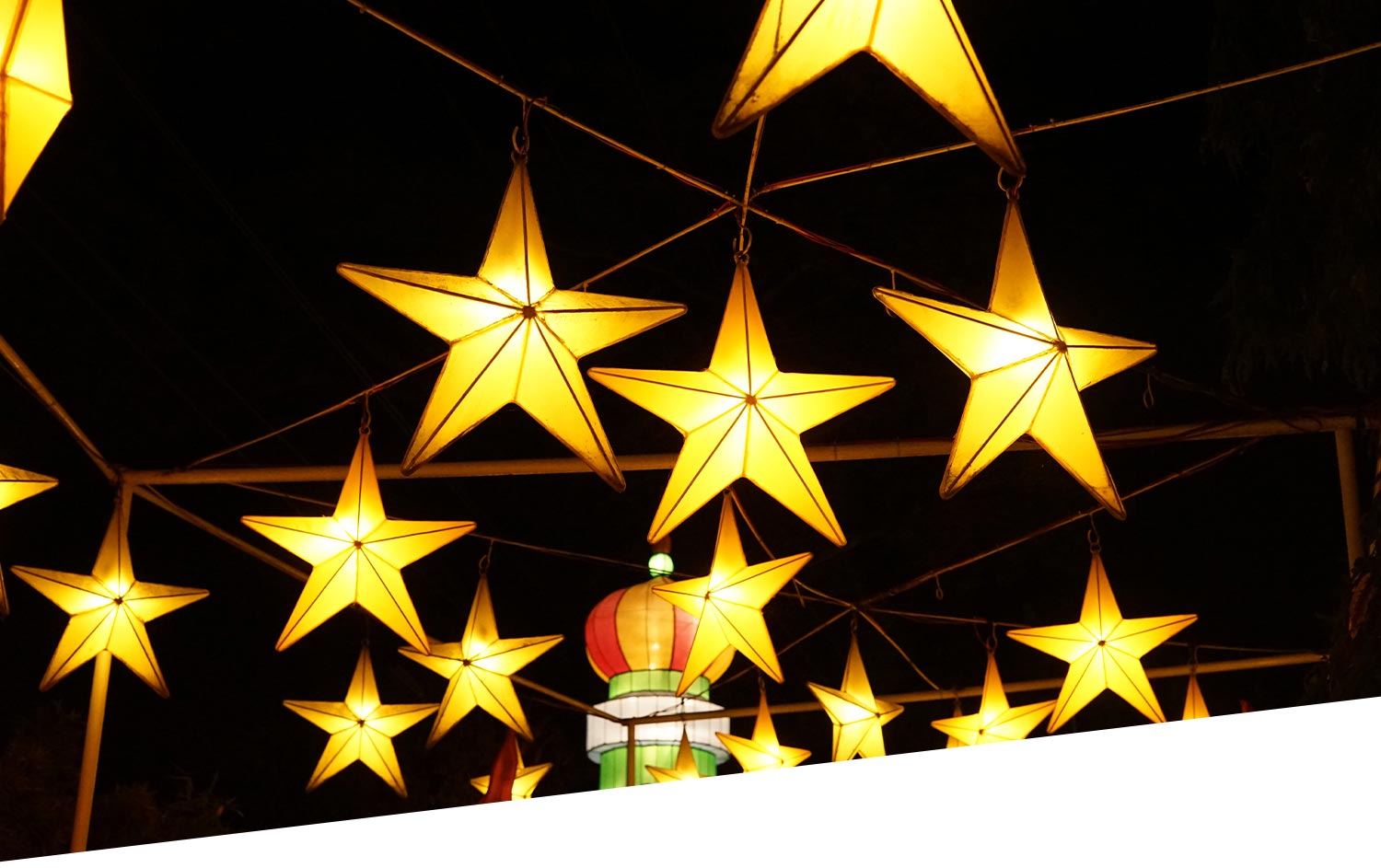 Who Are We| Starfishsearch