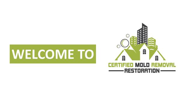 Expert Mold Removal for Residential and Commercial