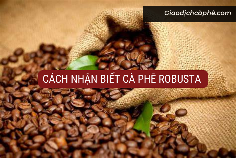 Sàn Giao Dịch Cà Phê