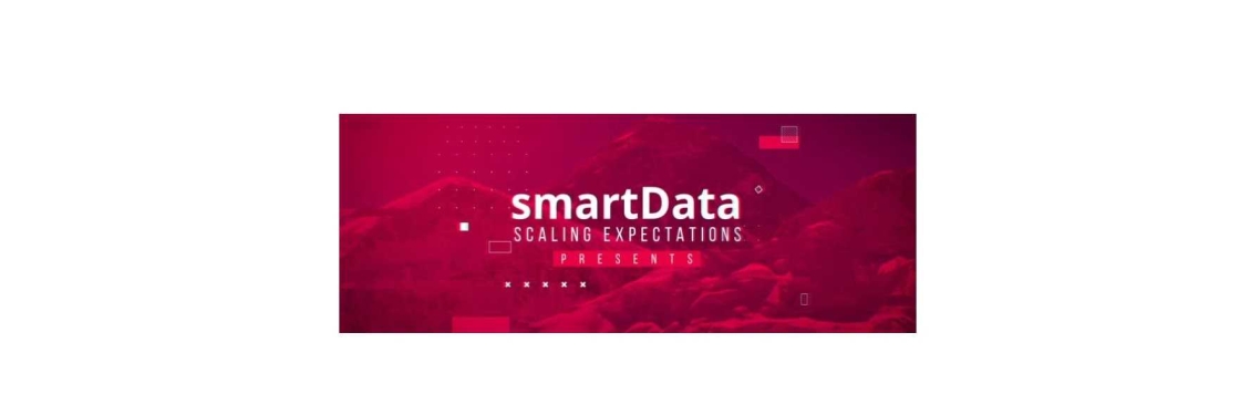 smartData Enterprises Inc