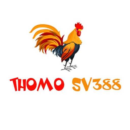 Đá Gà Thomo SV388