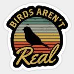 Birds Arent Real Merch