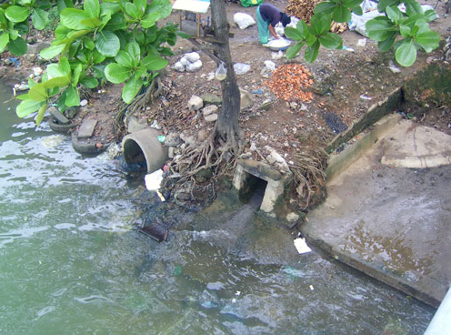 Mối nguy hại và các phương pháp xử lý nước thải sinh hoạt tiêu biểu