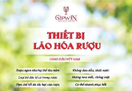 Lão Hóa Rượu Là Gì ? Tại Sao Phải Lão Hóa Rượu