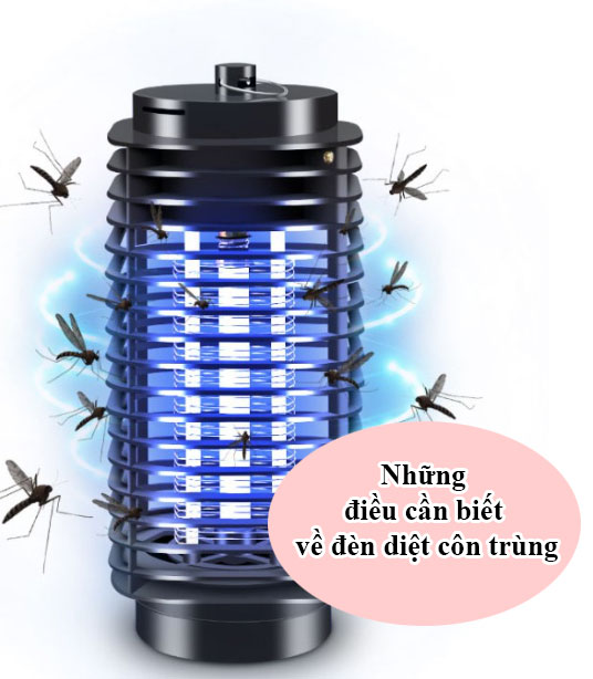 Những điều cần biết về đèn diệt côn trùng