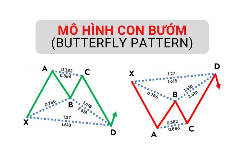 Cách giao dịch với mô hình con bướm (Butterfly Pattern)
