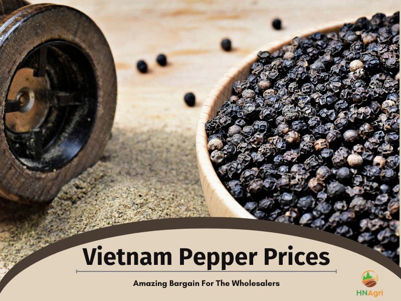 Vietnam Pepper Price Amazing Bargain For The Wholesalers