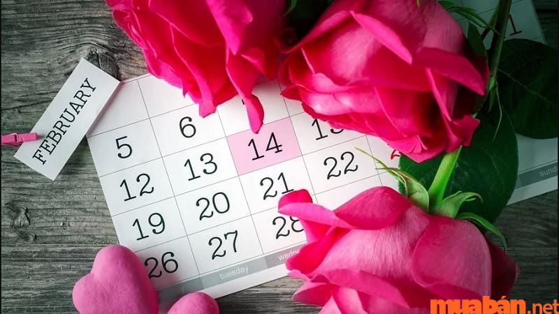 14/2 Là Ngày Gì? Ai Tặng Quà Cho Ai? Nên Tặng Quà Gì?