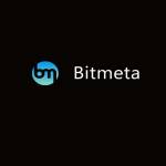 Bitmeta