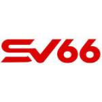 SV66 P