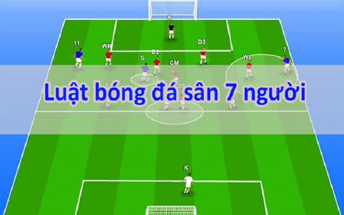 Tổng hợp những luật bóng đá 7 người mới nhất 2023